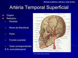 Artéria Temporal Superficial
Origem
Relações:
– Parótida
– Ramo da Mandíbula
– Pulso
– Frontal e parietal
– Veias correspondentes
E N. auriculotemporal
Revisão anatômica: artérias e veias da face.
Fonte: ADAM, Atlas de anatomia
 