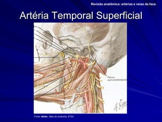 Artéria Temporal Superficial
Revisão anatômica: artérias e veias da face.
Fonte: Netter, Atlas de anatomia, 6ª Ed.
 
