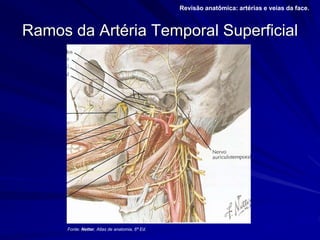 Ramos da Artéria Temporal Superficial
Revisão anatômica: artérias e veias da face.
Fonte: Netter, Atlas de anatomia, 6ª Ed.
 