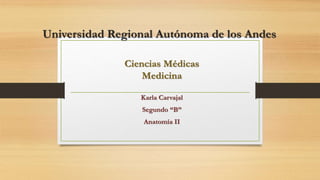 Universidad Regional Autónoma de los Andes
Karla Carvajal
Segundo “B”
Anatomía II
Ciencias Médicas
Medicina
 