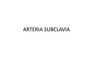 ARTERIA SUBCLAVIA 
 