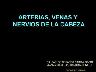 ARTERIAS, VENAS Y  NERVIOS DE LA CABEZA DR. CARLOS GERARDO GARCÍA TOVAR MVZ MA. REYES PICHARDO MOLINERO PAPIME PE 202505 