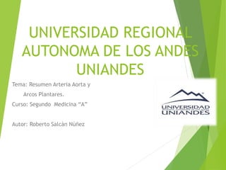 UNIVERSIDAD REGIONAL
AUTONOMA DE LOS ANDES
UNIANDES
Tema: Resumen Arteria Aorta y
Arcos Plantares.
Curso: Segundo Medicina “A”
Autor: Roberto Salcàn Núñez
 