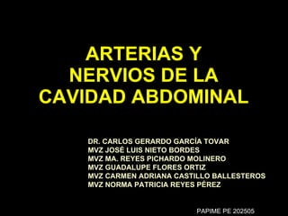 ARTERIAS Y NERVIOS DE LA CAVIDAD ABDOMINAL DR. CARLOS GERARDO GARCÍA TOVAR  MVZ JOSÉ LUIS NIETO BORDES MVZ MA. REYES PICHARDO MOLINERO MVZ GUADALUPE FLORES ORTIZ MVZ CARMEN ADRIANA CASTILLO BALLESTEROS MVZ NORMA PATRICIA REYES PÉREZ PAPIME PE 202505 