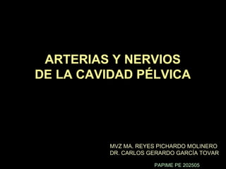 ARTERIAS Y NERVIOS DE LA CAVIDAD PÉLVICA MVZ MA. REYES PICHARDO MOLINERO DR. CARLOS GERARDO GARCÍA TOVAR PAPIME PE 202505 