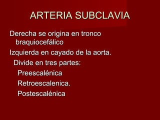 ARTERIA SUBCLAVIA
Derecha se origina en tronco
  braquiocefálico
Izquierda en cayado de la aorta.
  Divide en tres partes:
   Preescalénica
   Retroescalenica.
   Postescalénica
 