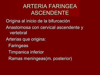 ARTERIA FARINGEA
         ASCENDENTE
Origina al inicio de la bifurcación
Anastomosa con cervical ascendente y
  vertebral
Arterias que origina:
 Faringeas
 Timpanica inferior
 Ramas meningeas(m. posterior)
 