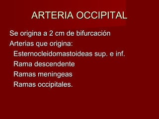 ARTERIA OCCIPITAL
Se origina a 2 cm de bifurcación
Arterias que origina:
 Esternocleidomastoideas sup. e inf.
 Rama descendente
 Ramas meningeas
 Ramas occipitales.
 