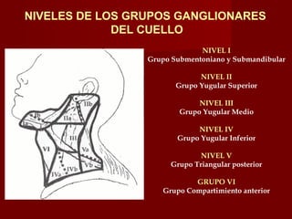 NIVELES DE LOS GRUPOS GANGLIONARES
             DEL CUELLO
                              NIVEL I
                 Grupo Submentoniano y Submandibular

                              NIVEL II
                        Grupo Yugular Superior

                              NIVEL III
                         Grupo Yugular Medio

                             NIVEL IV
                        Grupo Yugular Inferior

                              NIVEL V
                      Grupo Triangular posterior

                            GRUPO VI
                    Grupo Compartimiento anterior
 