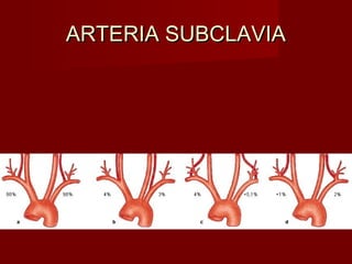 ARTERIA SUBCLAVIA
 