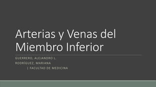 Arterias y Venas del
Miembro Inferior
GUERRERO, ALEJANDRO L.
RODRÍGUEZ, MARIANA
| FACULTAD DE MEDICINA
 