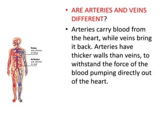 • ARE ARTERIES AND VEINS
DIFFERENT?
• Arteries carry blood from
the heart, while veins bring
it back. Arteries have
thicker walls than veins, to
withstand the force of the
blood pumping directly out
of the heart.
 