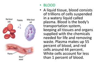 • BLOOD
• A liquid tissue, blood consists
of trillions of cells suspended
in a watery liquid called
plasma. Blood is the body’s
transportation system,
keeping all tissues and organs
supplied with the chemicals
needed for life and removing
waste. Plasma makes up 55
percent of blood, and red
cells around 44 percent.
White cells account for less
than 1 percent of blood.
 
