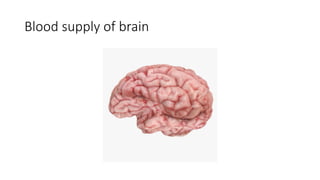 Blood supply of brain
 