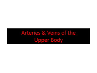 Arteries & Veins of the Upper Body 