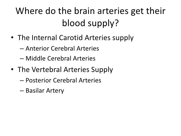 Arteries & veins of the upper body