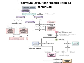 Простагландин, Калликреин-кинины
тогтолцоо
 