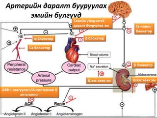 Артерийн даралт бууруулах
эмийн бүлгүүд
α блокатор
Са блокатор
АХФ-г саатуулагч/Ангиотензин II
антагонист
β блокатор
β блокатор
Ганглион
блокатор
Шээс хөөх эм
Төвийн үйлдэлтэй
даралт бууруулах эм
Шээс хөөх эм
 