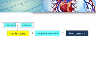 cardiac output x Peripheral resistance = Blood pressure
Heart Rate Stroke volumex
 