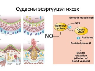 Судасны эсэргүүцэл ихсэх
• NO
 