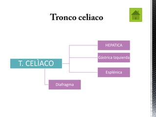 HEPATICA

                         Gástrica Izquierda
T. CELÌACO
T. CELÌACO

                             Esplénica

             Diafragma
 
