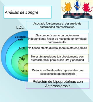 Análisis de Sangre
LDL
HDL
Colesterol
total
Trig
.
VLDL
Asociado fuertemente al desarrollo de
enfermedad aterosclerótica.
No tienen efecto directo sobre la aterosclerosis
Se comporta como un poderoso e
independiente factor de riesgo de enfermedad
cardiovascular.
No están asociados tan directamente con
aterosclerosis, pero si con DM y obesidad
Cuando están elevadas representan una
sospecha de aterosclerosis
Relación de Lipoproteínas con
Asterosclerosis
 