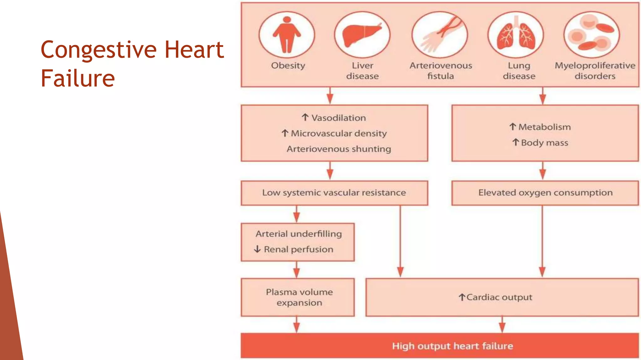 Congestive Heart
Failure