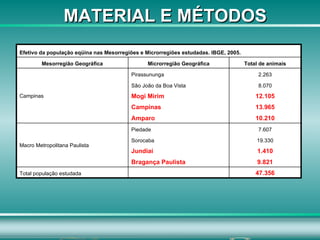 MATERIAL E MÉTODOS 47.356   Total população estudada 9.821 Bragança Paulista 1.410 Jundiaí 19.330 Sorocaba 7.607 Piedade Macro Metropolitana Paulista 10.210 Amparo 13.965 Campinas 12.105 Mogi Mirim 8.070 São João da Boa Vista 2.263 Pirassununga Campinas Total de animais Microrregião Geográfica Mesorregião Geográfica Efetivo da população eqüina nas Mesorregiões e Microrregiões estudadas. IBGE, 2005. 