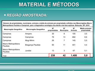MATERIAL E MÉTODOS REGIÃO AMOSTRADA: 5,8 1.400 42 238   Total 5,1 67 3 13 Jundiaí Macro Metropolitana Paulista 4,4 401 11 90 Bragança Paulista Macro Metropolitana Paulista 5,5 145 7 26 Mogi Mirim Campinas 8,6 682 13 79 Campinas Campinas 3,5 105 8 30 Amparo Campinas Média animais/ propriedade Nº Animais Nº Municípios Nº propriedades Microrregião Geográfica Mesorregião Geográfica Número de propriedades, municípios, animais e média de animais por propriedade colhidos nas Mesorregiões Macro Metropolitana Paulista e Campinas, para o diagnóstico sorológico da arterite viral dos eqüinos. Botucatu, SP, 2010   
