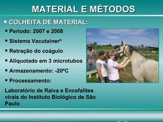 MATERIAL E MÉTODOS COLHEITA DE MATERIAL: Período: 2007 e 2008 Sistema Vacutainer ® Retração do coágulo  Aliquotado em 3 microtubos Armazenamento: -20ºC  Processamento:  Laboratório de Raiva e Encefalites  virais do Instituto Biológico de São Paulo 