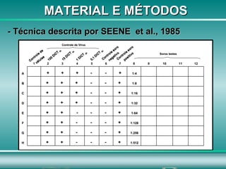 MATERIAL E MÉTODOS Controle de  células 100 DICT  50 0,1 DICT  50 10 DICT  50 1 DICT  50 Controle soro  negativo Controle soro  positivo Soros testes Controle de Vírus  - Técnica descrita por  SEENE  et al., 1985           1:512 +  -  -  -  +  +    H           1:256 +  -  -  -  +  +    G           1:128 +  -  -  -  +  +    F           1:64 +  -  -  - +  +    E           1:32 +  -  -  +  +  +    D           1:16 +  -  -  +  +  +    C           1:8 +  -  -  +  +  +    B           1:4 + - - + + +   A 12 11 10 9 8 7 6 5 4 3 2 1 