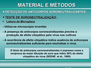 MATERIAL E MÉTODOS DETECÇÃO DE ANTICORPOS SORONEUTRALIZANTES: TESTE DE SORONEUTRALIZAÇÃO :   Leitura da Microplaca - Utiliza-se microscópio invertido - A presença de anticorpos soroneutralizantes previne a produção de efeito citopático pelo vírus nos cultivos - A ocorrência de efeito citopático indica ausência de anticorpos soroneutralizantes suficiente para neutralizar o vírus O título de anticorpos soroneutralizantes é expresso como a recíproca da maior diluição do soro que inibiu 50% do efeito citopático do vírus (SEENE  et al., 1985) 
