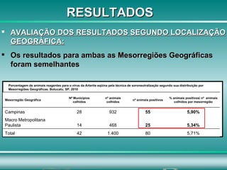 AVALIAÇÃO DOS RESULTADOS SEGUNDO LOCALIZAÇÃO GEOGRÁFICA: Os resultados para ambas as Mesorregiões Geográficas foram semelhantes Porcentagem de animais reagentes para o vírus da Arterite eqüina pela técnica de soroneutralização segundo sua distribuição por Mesorregiões Geográficas. Botucatu, SP, 2010  RESULTADOS 5,71% 80 1.400 42 Total 5,34% 25 468 14 Macro Metropolitana Paulista 5,90% 55 932 28 Campinas % animais positivos/ nº  animais colhidos por mesorregião nº animais positivos nº animais colhidos Nº Municípios colhidos Mesorregião Geográfica 