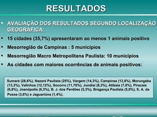 AVALIAÇÃO DOS RESULTADOS SEGUNDO LOCALIZAÇÃO GEOGRÁFICA: 15 cidades (35,7%) apresentaram ao menos 1 animais positivo Mesorregião de Campinas : 5 municípios  Mesorregião Macro Metropolitana Paulista: 10 municípios As cidades com maiores ocorrências de animais positivos: Sumaré (28,6%), Nazaré Paulista (25%), Vargem (14,3%), Campinas (13,8%), Morungaba (13,3%), Valinhos (12,12%), Socorro (11,76%), Jundiaí (8,3%), Atibaia (7,0%), Piracaia (6,8%), Joanópolis (6,3%), B. J. dos Perdões (5,3%), Bragança Paulista (5,0%), S. A. da Posse (3,6%) e Jaguariúna (1,4%).   RESULTADOS 