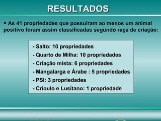 As 41 propriedades que possuíram ao menos um animal positivo foram assim classificadas segundo raça de criação: - Salto: 10 propriedades - Quarto de Milha: 10 propriedades - Criação mista: 6 propriedades - Mangalarga e Árabe : 5 propriedades - PSI: 3 propriedades - Crioulo e Lusitano: 1 propriedade RESULTADOS 