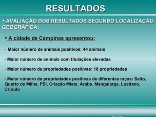 A cidade de Campinas apresentou: Maior número de animais positivos: 44 animais Maior número de animais com titulações elevadas Maior número de propriedades positivas: 18 propriedades Maior número de propriedades positivas de diferentes raças: Salto, Quarto de Milha, PSI, Criação Mista, Árabe, Mangalarga, Lusitano, Crioulo AVALIAÇÃO DOS RESULTADOS SEGUNDO LOCALIZAÇÃO GEOGRÁFICA: RESULTADOS 