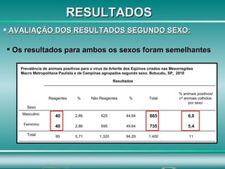 AVALIAÇÃO DOS RESULTADOS SEGUNDO SEXO: Os resultados para ambos os sexos foram semelhantes Prevalência de animais positivos para o vírus da Arterite dos Eqüinos criados nas Mesorregiões Macro Metropolitana Paulista e de Campinas agrupados segundo sexo. Botucatu, SP,  2010   RESULTADOS 11 1.400 94,29 1.320 5,71 80 Total 5,4 735 49,64 695 2,86 40 Feminino 6,0 665 44,64 625 2,86 40 Masculino  % animais positivos/ nº animais colhidos por sexo Total % Não Reagentes % Reagentes Sexo   Resultados   