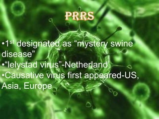 •1st designated as “mystery swine
disease”
•“lelystad virus”-Netherland
•Causative virus first appeared-US,
Asia, Europe

 