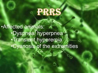 •Affected animals:
•Dyspnea/ hyperpnea
•Transient hyperemia
•Cyanosis of the extremities

 