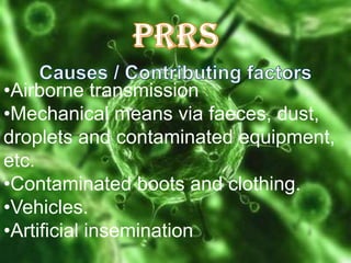•Airborne transmission
•Mechanical means via faeces, dust,
droplets and contaminated equipment,
etc.
•Contaminated boots and clothing.
•Vehicles.
•Artificial insemination

 