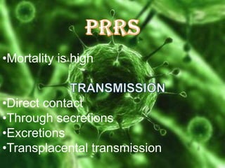 •Mortality is high
•Direct contact
•Through secretions
•Excretions
•Transplacental transmission

 