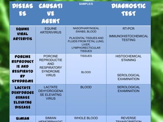 DISEAS CAUSATI
ES
VE
AGENT

SAMPLE/S

DIAGNOSTIC
TEST

NASOPHARYNGEAL
SWABS, BLOOD

RT-PCR

EQUINE
VIRAL
ARTERITIS

EQUINE
ARTERIVIRUS

PORCINE
REPRODUCT
IE AND
RESPIRATO
RY
SYNDROME

PORCINE
REPRODUCTIE
AND
RESPIRATORY
SYNDROME
VIRUS

TISSUES

LACTATE
DEHYDROGE
GENASE
ELEVATNG
DISEASE

LACTATE
DEHYDROGENA
SE ELEVATNG
VIRUS

BLOOD

SEROLOGICAL
EXAMINATION

SIMIAN

SIMIAN

WHOLE BLOOD

REVERSE

PLACENTAL TISSUES AND
FLUIDS FROM FETAL LUNG,
LIVER,
LYMPHORECTICULAR
TISSUES

IMMUNOHISTOCHEMICAL
TESTING

HISTOCHEMICAL
STAINING

BLOOD

SEROLOGICAL
EXAMINATION

 