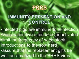 •Infected pigs are immune to reinfection
•Vaccination-live attenuated, inactivated
•limit the frequency of seed stock
introductions to the sow herd
•assure that the replacement gilts be
well-acclimatized to the PRRS virus

 