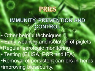 • Other helpful techniques
• Early weaning and isolation of piglets
•Regular serologic monitoring
• Testing (ELISA, PCR and IFA)
•Removal of persistent carriers in herds
•improving biosecurity.

 