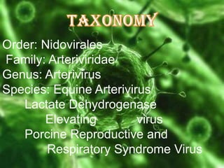 Order: Nidovirales
Family: Arteriviridae
Genus: Arterivirus
Species: Equine Arterivirus
Lactate Dehydrogenase
Elevating
virus
Porcine Reproductive and
Respiratory Syndrome Virus

 