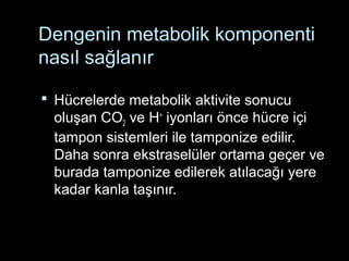 Dengenin metabolik komponenti
nasıl sağlanır
 Hücrelerde metabolik aktivite sonucu
oluşan CO2 ve H+
iyonları önce hücre içi
tampon sistemleri ile tamponize edilir.
Daha sonra ekstraselüler ortama geçer ve
burada tamponize edilerek atılacağı yere
kadar kanla taşınır.
 