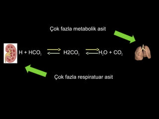 Çok fazla metabolik asit
H + HCO3 H2CO3 H2O + CO2
Çok fazla respiratuar asit
 