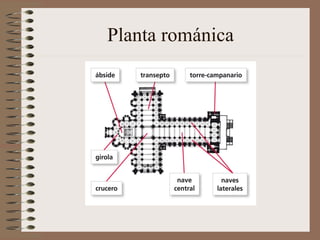 Planta románica
 