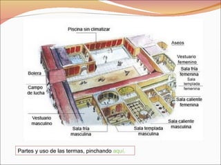 Partes y uso de las termas, pinchando  aquí. 