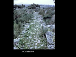 Calzada. Cáceres
 